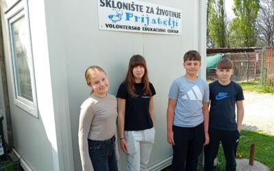 Mali humanitarci velikog srca: Učenici 6.a razreda izradili ležaljke za napuštene njuškice